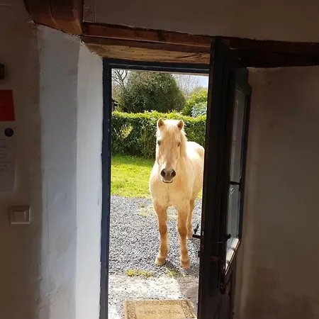 écuries De Losque Casa vacanze *