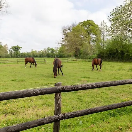 Ecuries De Losque 度假居 *