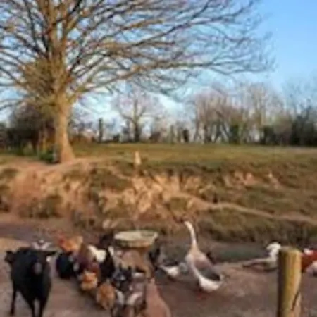 écuries De Losque Casa vacanze Les Champs-de-Losque