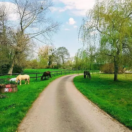écuries De Losque * Les Champs-de-Losque