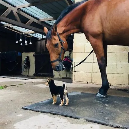 écuries De Losque * Les Champs-de-Losque