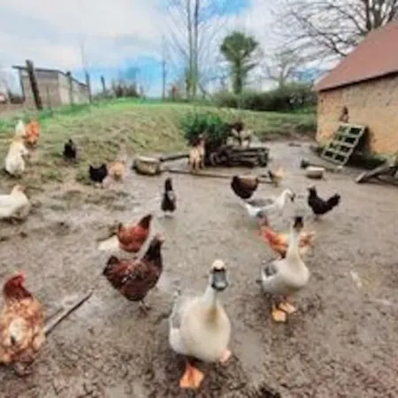 Ecuries De Losque 度假居 Les Champs-de-Losque