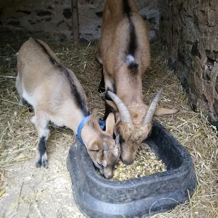 écuries De Losque Casa vacanze *