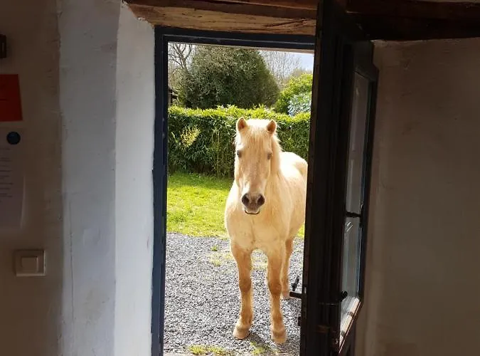 Ecuries De Losque Holiday home *