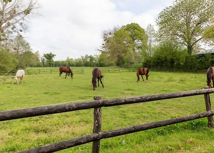 Ecuries De Losque Holiday home *