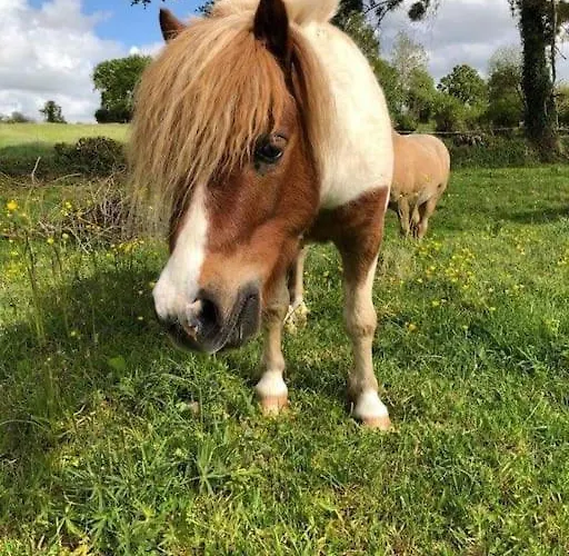 Ecuries De Losque Holiday home *