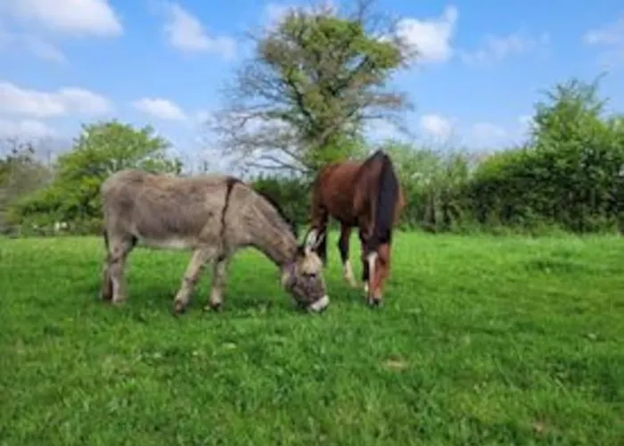Ecuries De Losque Holiday home Les Champs-de-Losque