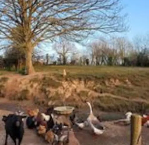 Ecuries De Losque Holiday home Les Champs-de-Losque