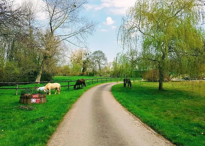 Ecuries De Losque * Les Champs-de-Losque