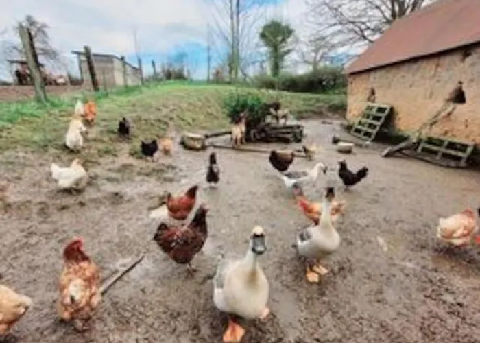 Ecuries De Losque Holiday home Les Champs-de-Losque